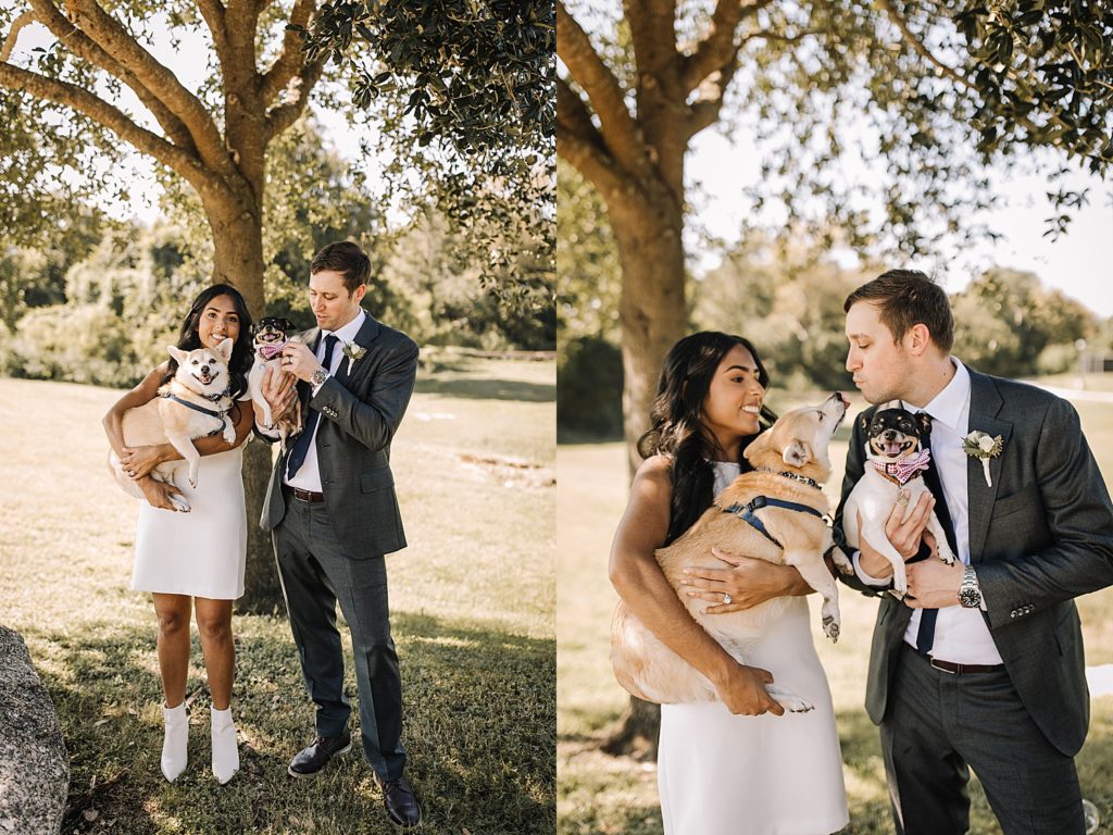 bride and groom bring dogs to Historic Courthouse ceremony 