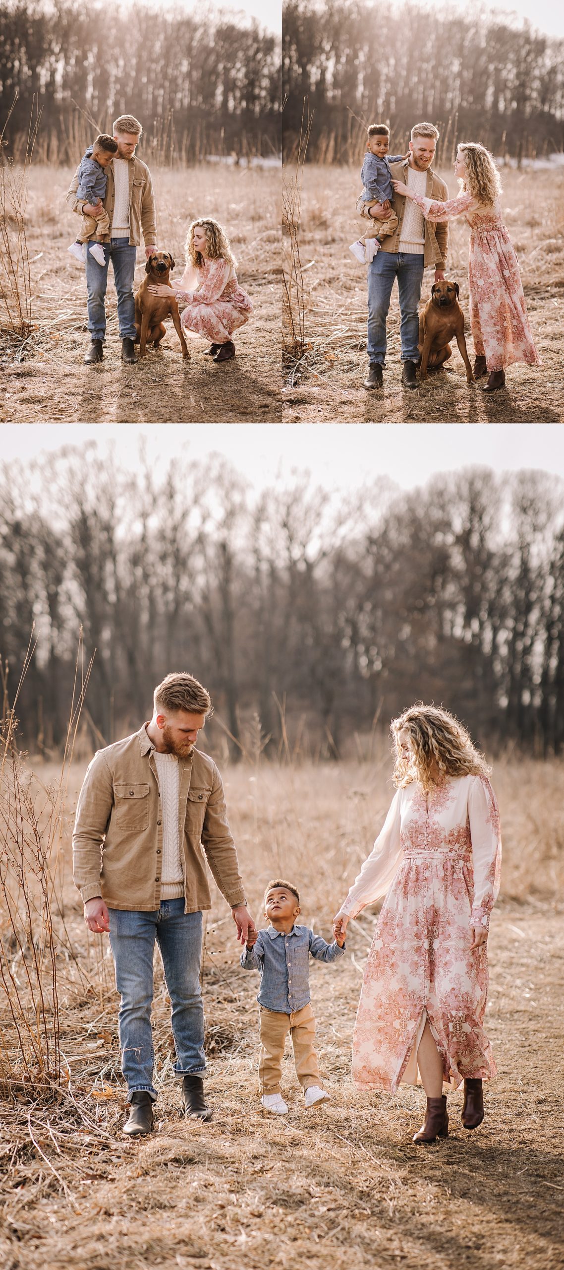family session with family dog in Ann Arbor and Michigan family photographer 