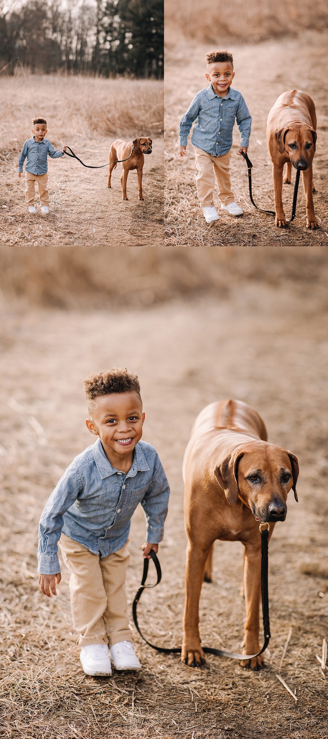 son and family dog holding onto leash during family session 