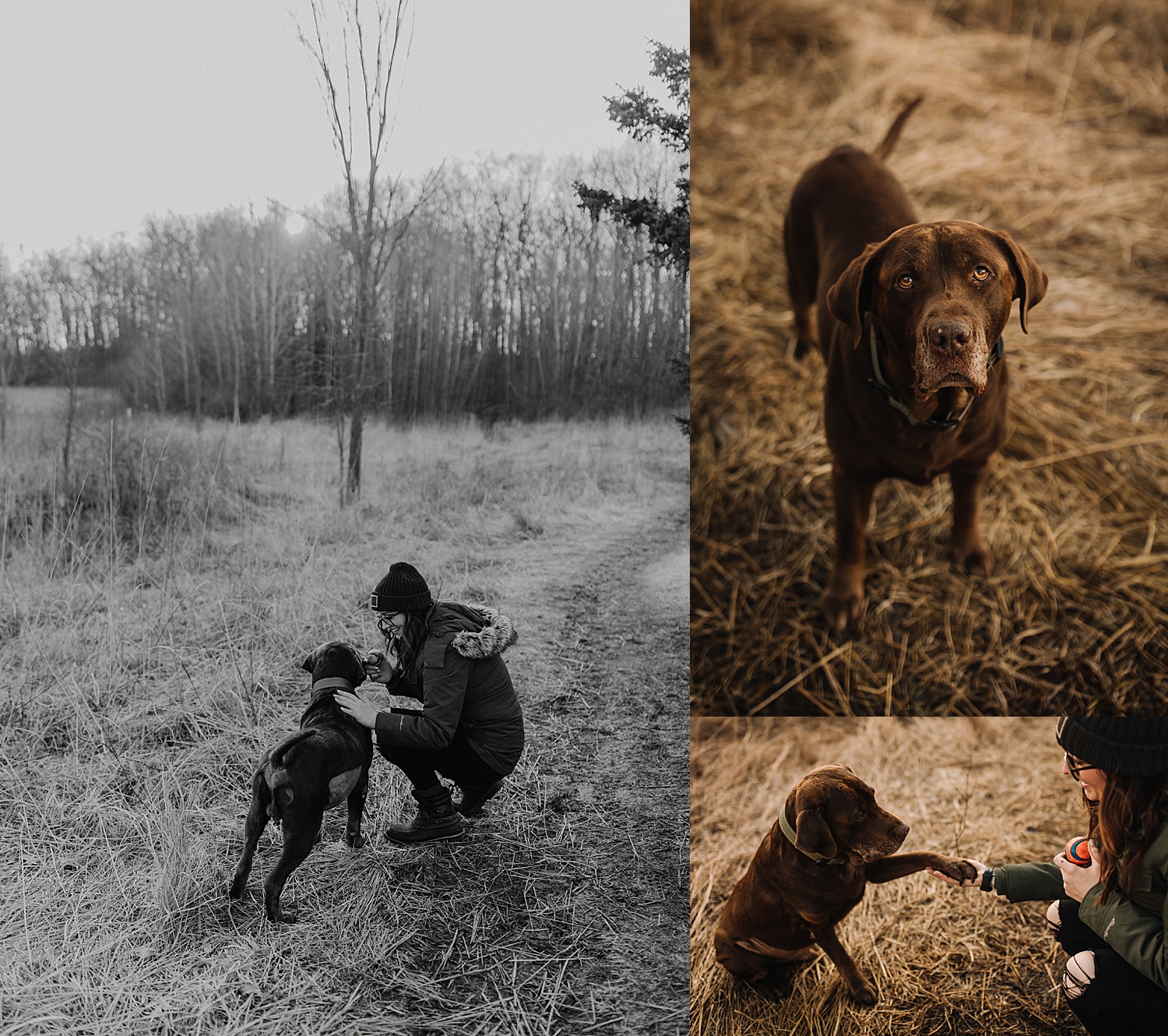 Photo Shoot With Your Pup of human and dog standing in field being playful with ball